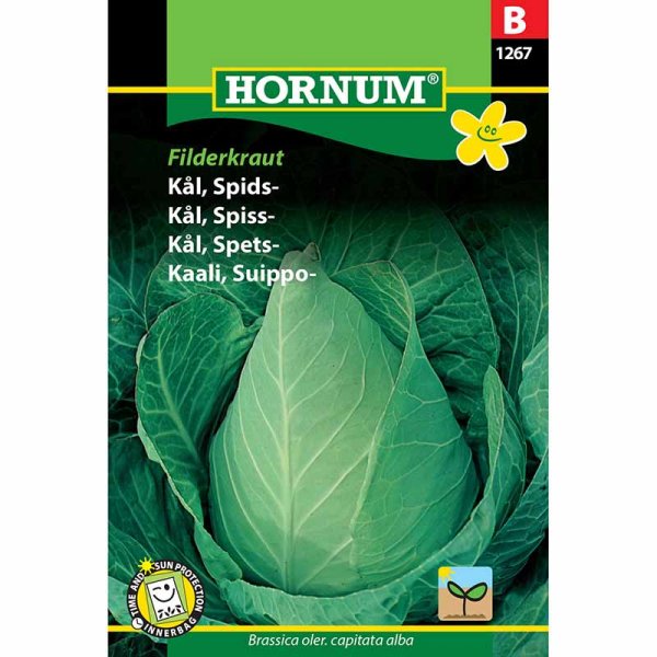 Spitzkohl 'Filderkraut'