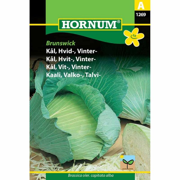 Weißkohl 'Golden Acre'