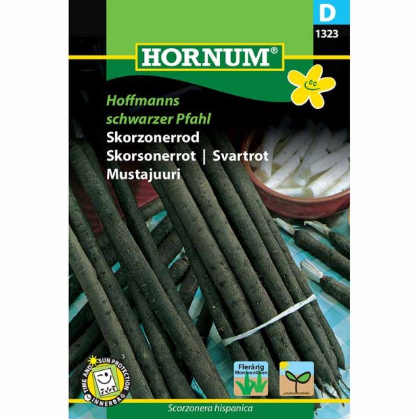 Schwarzwurzel 'Hoffmanns schwarzer Pfahl'