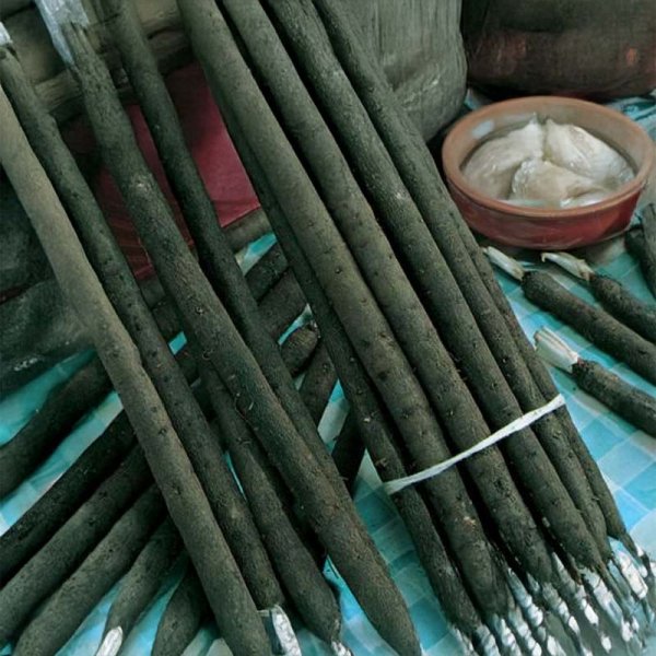 Schwarzwurzel 'Hoffmanns schwarzer Pfahl'