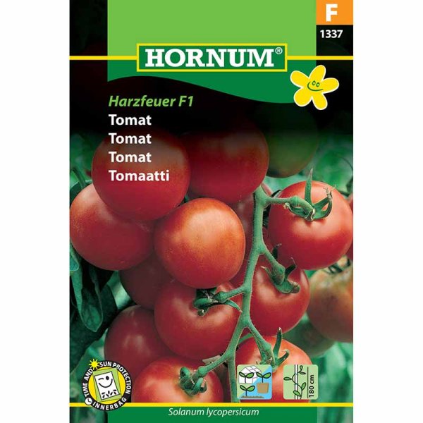 Tomate 'Harzfeuer' F1