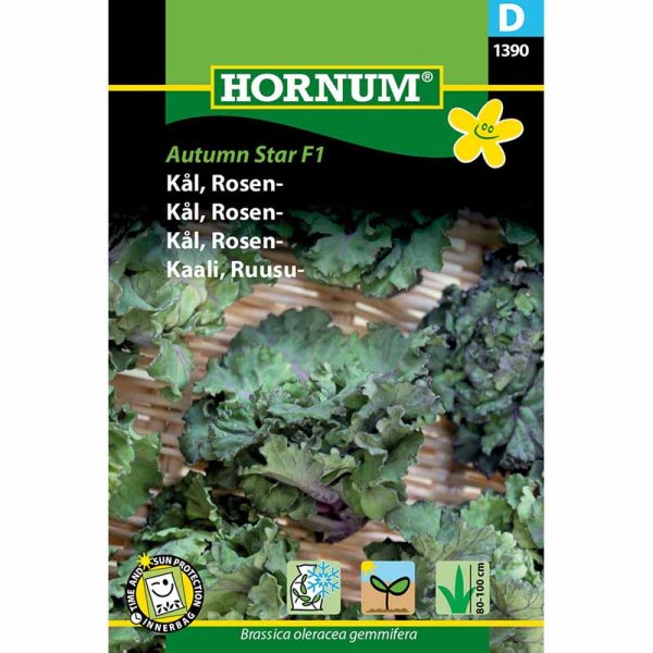 Rosenkohl 'Autumn Star' F1