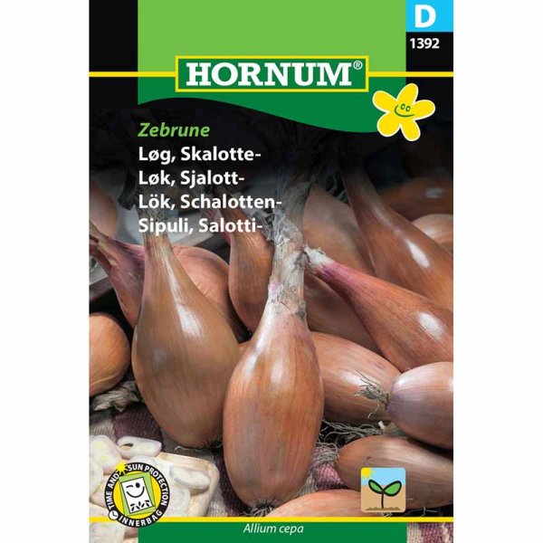 Schalotte 'Zebrune'