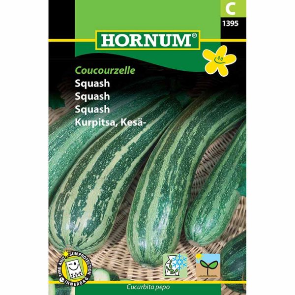 Zucchini 'Coucourzelle'
