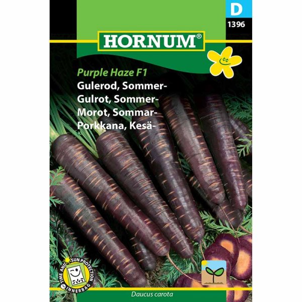 Sommermöhre 'Purple Haze' F1