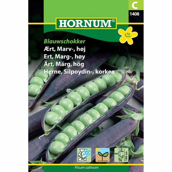 Markerbse 'Blauwschokker'