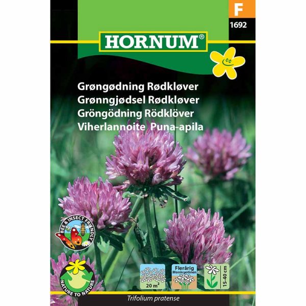 Gründüngung Rotklee