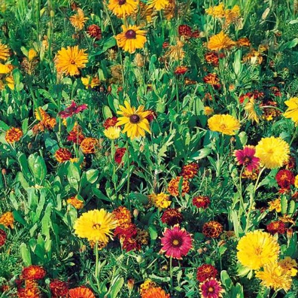 Bodenverbesserung, Mischung