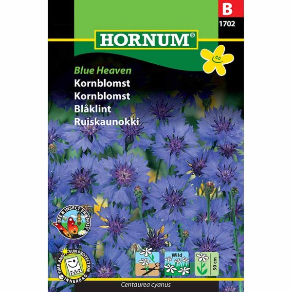 Kornblume 'Blue Heaven'