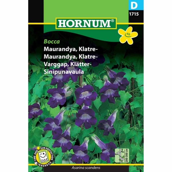 Kletterlöwenmaul 'Bocca'