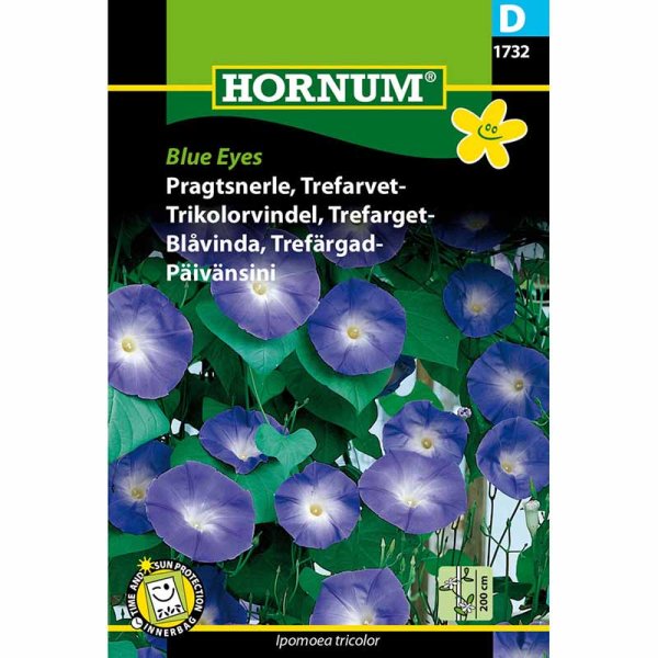 Dreifarbige Prunkwinde 'Blue Eyes'