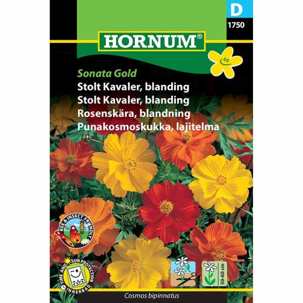 Cosmea 'Sonata Gold'