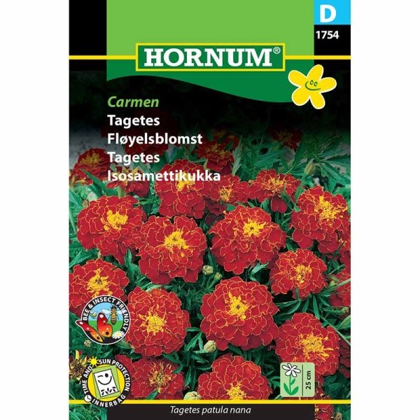Tagetes 'Carmen'