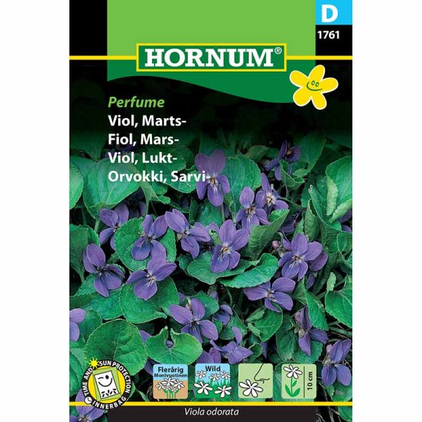 Duftveilchen 'Perfume'