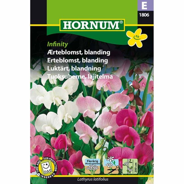 Duftwicke 'Infinity'