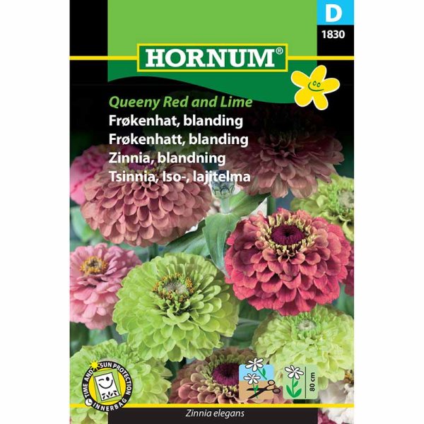 Zinnie 'Queeny Red and Lime'