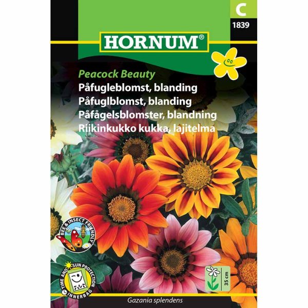 Mittagsgold 'Peacock Beauty'