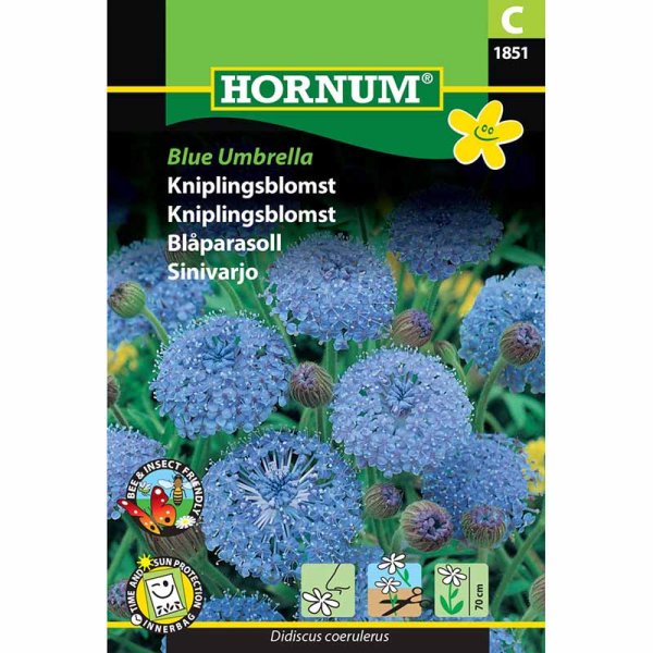 Blauschirmblume 'Blue Umbrella'