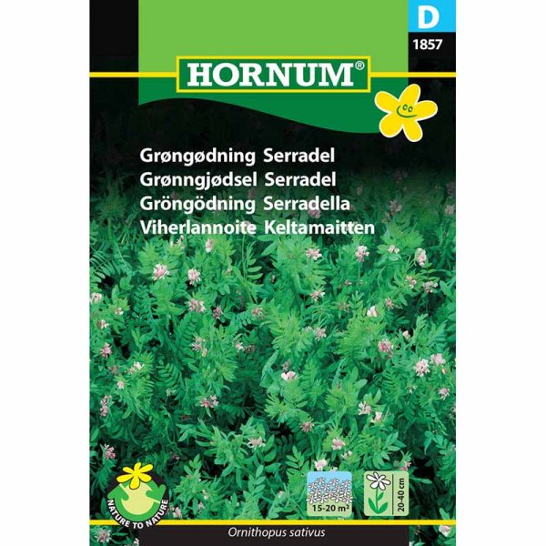 Gründüngung 'Serradella'