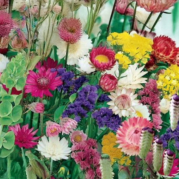 Trockenblumenmischung