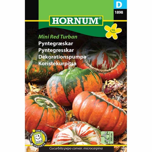 Zierkürbis 'Mini Red Turban'