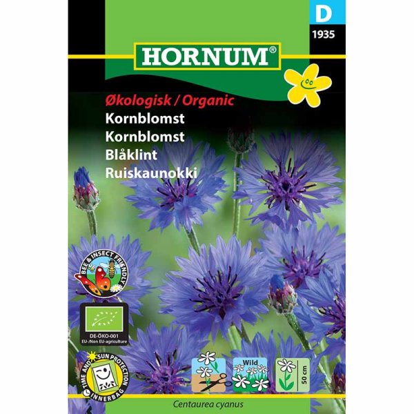 Kornblume 'Single Blue'