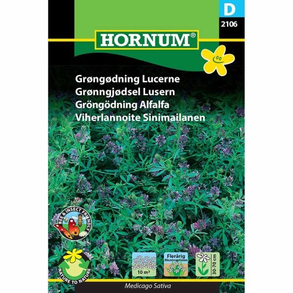 Gründüngung Luzerne