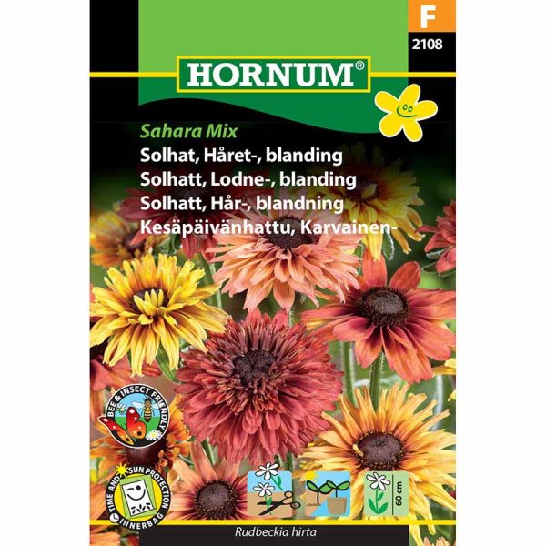 Sonnenhut 'Sahara Mix'