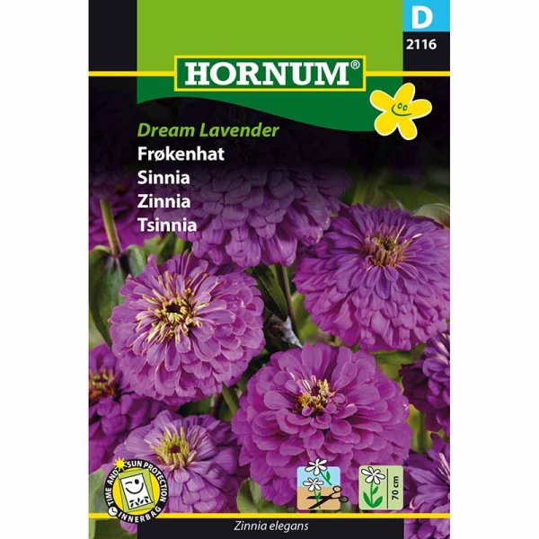 Zinnie Dream 'Lavender'