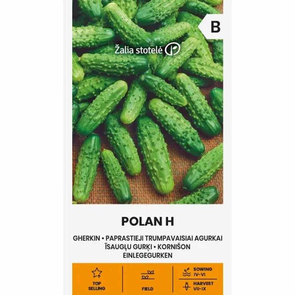 Freilandgurke 'Polan' F1