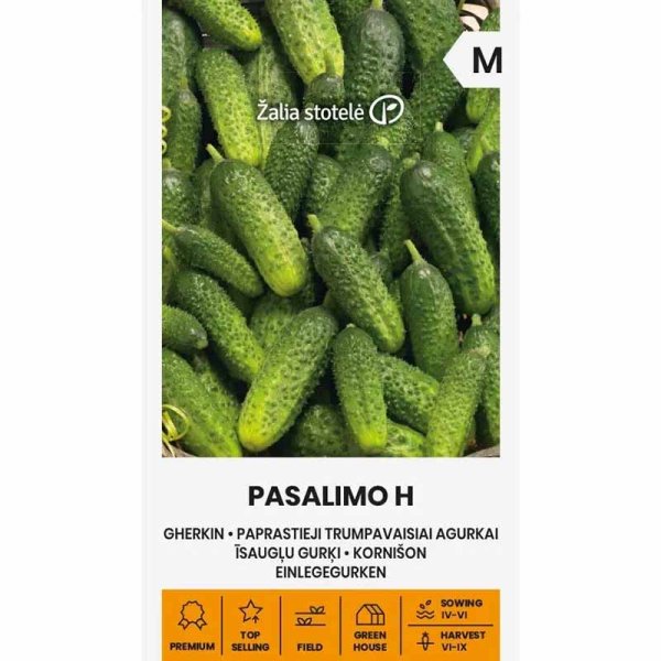 Freilandgurke 'Pasalimo' F1