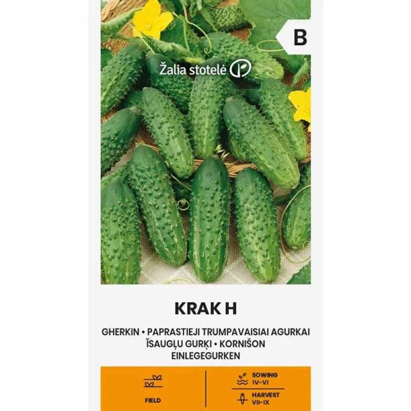 Freilandgurke 'Krak' F1