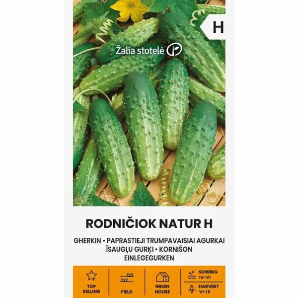 Freilandgurke 'Rodniciok natur' F1
