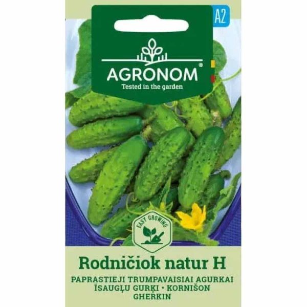 Freilandgurke 'Rodničiok Natur' F1