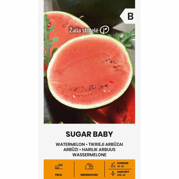 Wassermelone 'Sugar Baby'