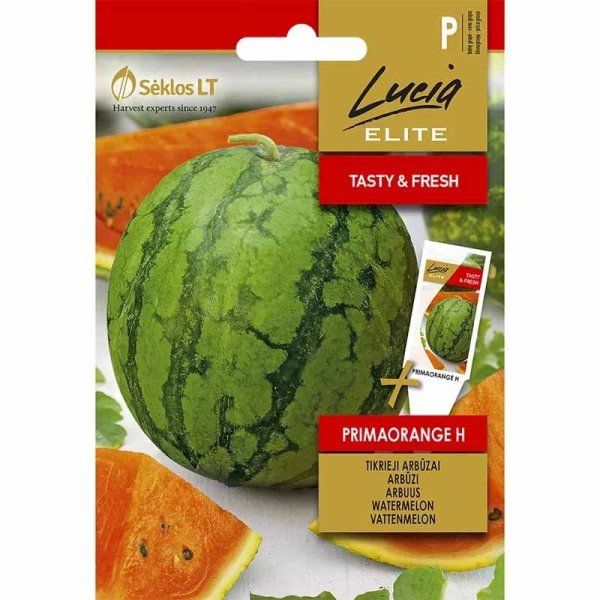 Wassermelone 'Primaorange' F1