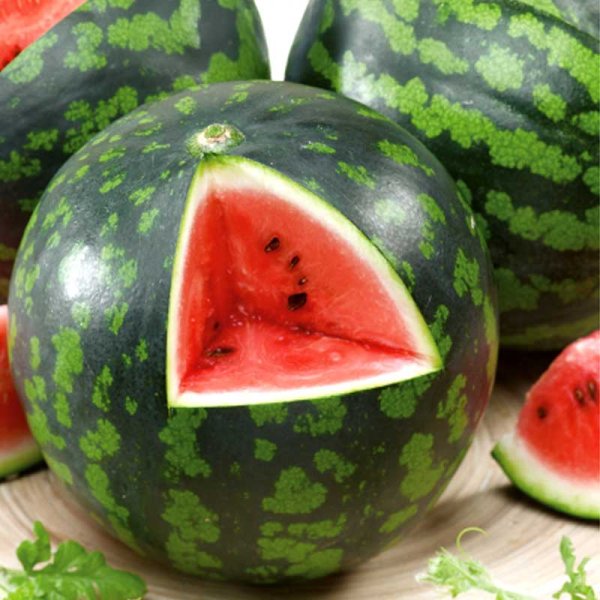 Wassermelone 'Mini Love' F1