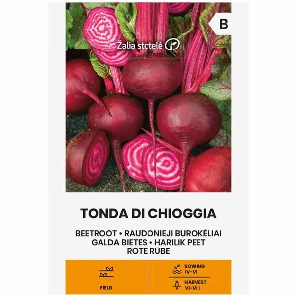 Rote Bete 'Tonda di chioggia'