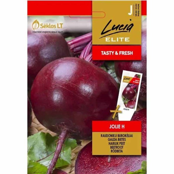 Rote Bete 'Jolie' F1