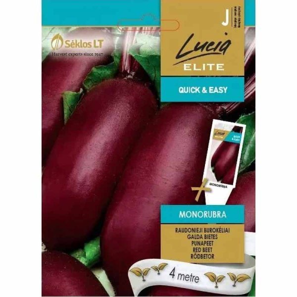 Rote Bete 'Monorubra'