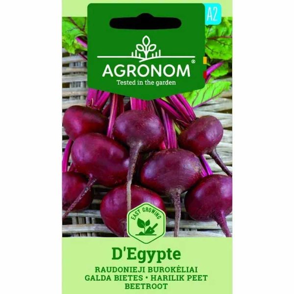 Rote Bete 'D'Egypte'