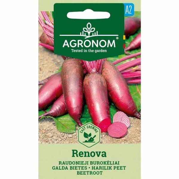 Rote Bete 'Renova'