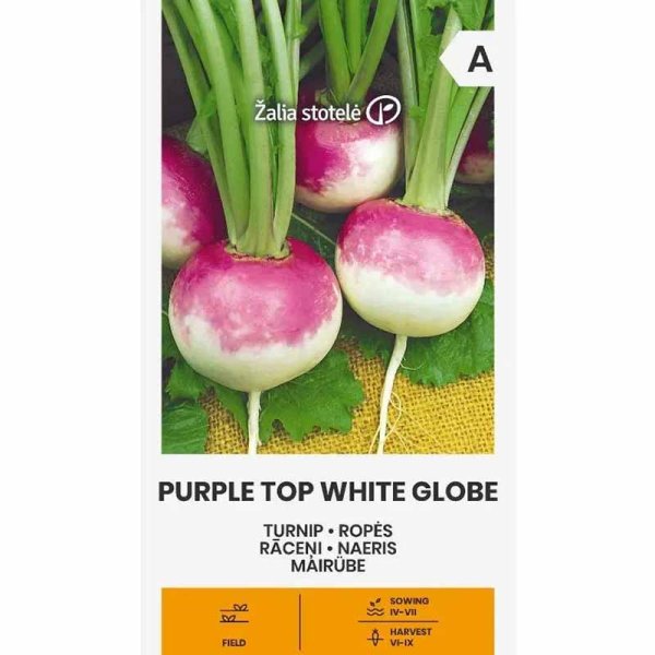 Mairübe 'Purple Top White Globe'