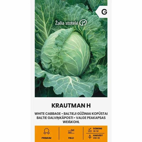 Weißkohl 'Krautman' H