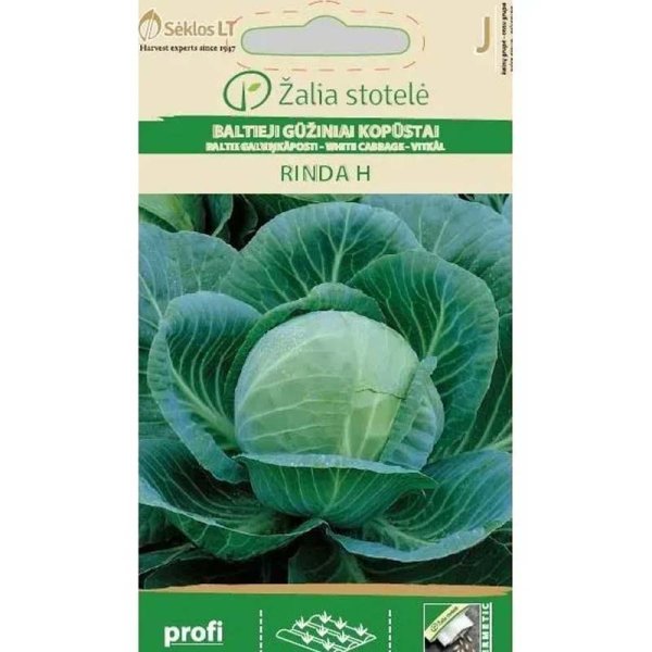 Weißkohl 'Rinda' H