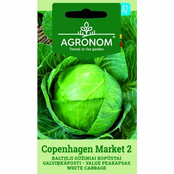 Weißkohl 'Copenhagen market'