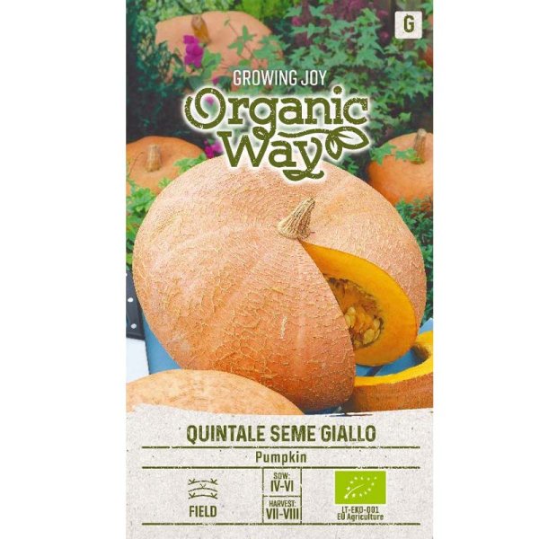 Kürbis 'Quintale seme giallo'