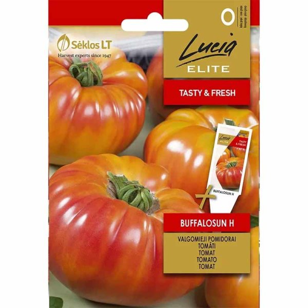 Fleischtomate 'Buffalosun' H