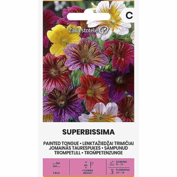 Trompetenblume 'Superbissima'