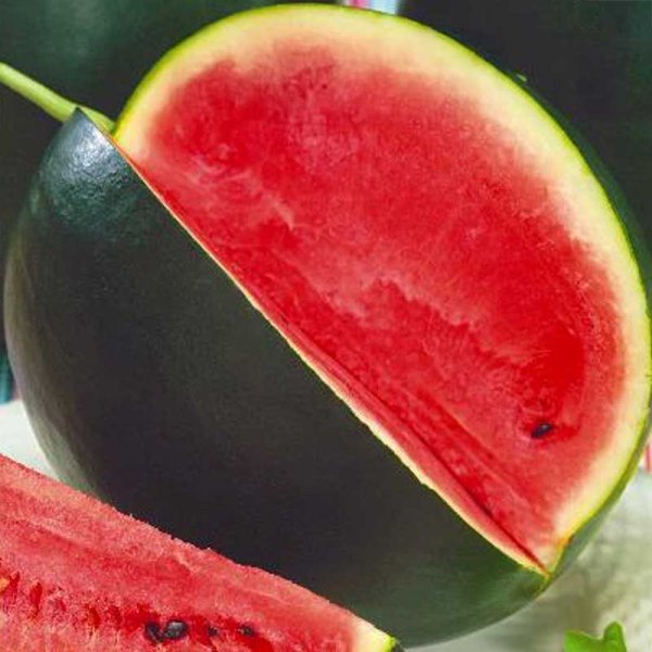 Wassermelone 'Pata Negra'